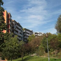 Olivais